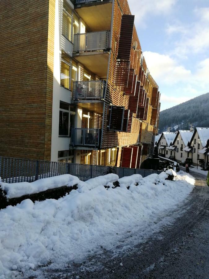 Rodinny Apartman Harrachov 606 Eksteriør billede