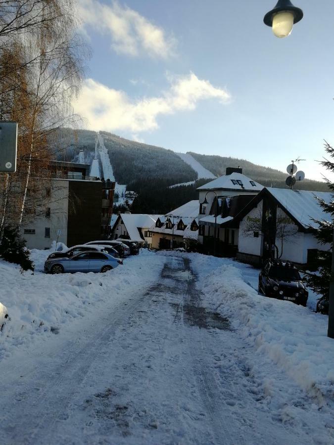 Rodinny Apartman Harrachov 606 Eksteriør billede